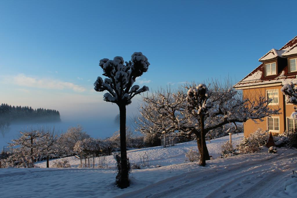 Gaestehaus Schloss Kronburg Екстериор снимка